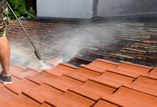 Best Garage Pressure Washing  in Hitchcock, TX