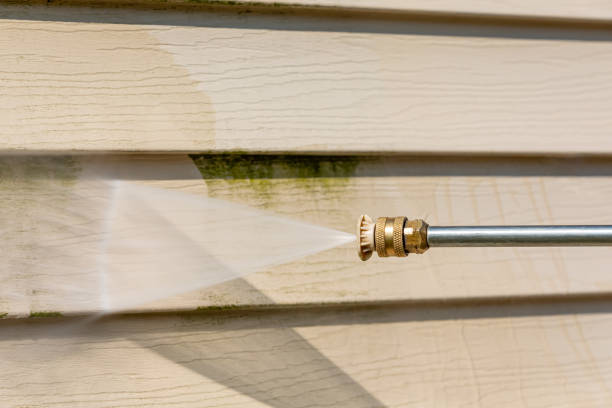 Best Pressure Washing Driveway  in Hitchcock, TX