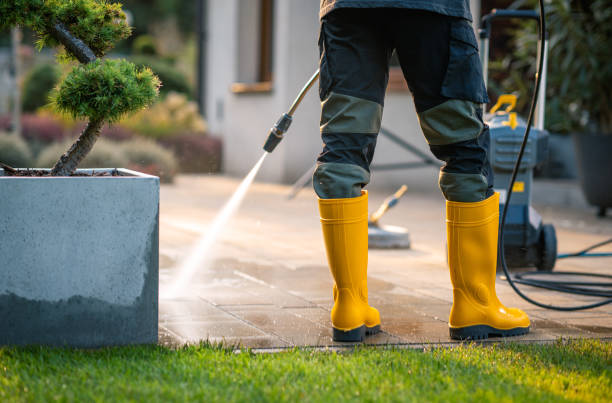 Best Local Pressure Washing Services  in Hitchcock, TX